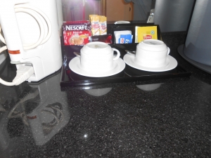 DSCN0337.JPG