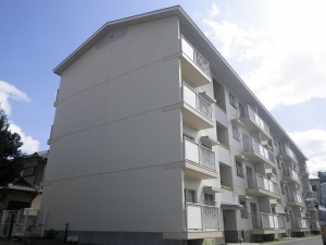 RIMG0023.jpg