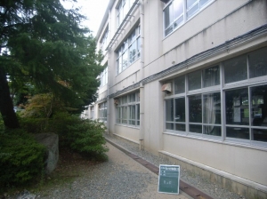 RIMG0085.JPG