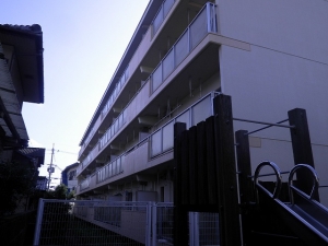 RIMG0098.jpg